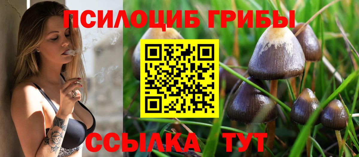 Псилоцибиновые грибы мицелий Миасс