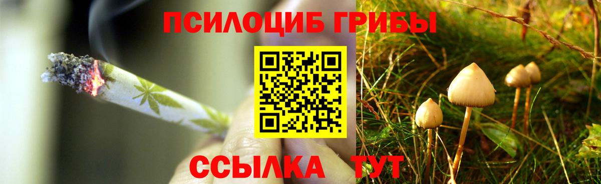 Псилоцибиновые грибы GOLDEN TEACHER  Псилоцибиновые грибы Psilocybe  Вход с VPN  Миасс 